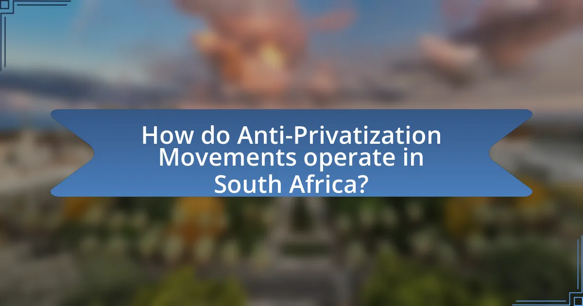 How do Anti-Privatization Movements operate in South Africa?
