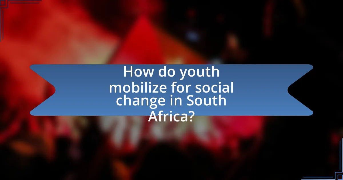 How do youth mobilize for social change in South Africa?