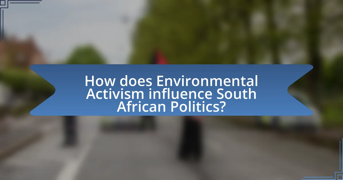 How does Environmental Activism influence South African Politics?