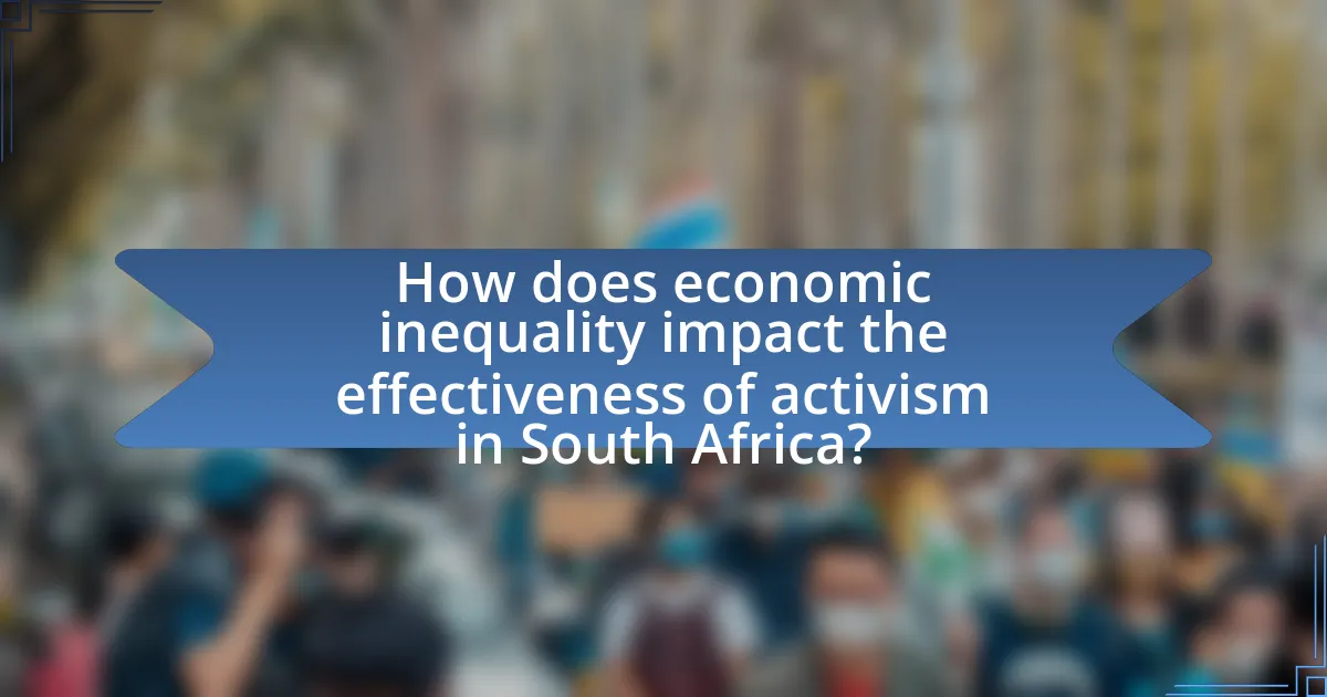 How does economic inequality impact the effectiveness of activism in South Africa?