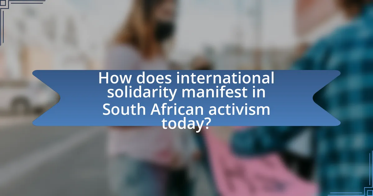 How does international solidarity manifest in South African activism today?