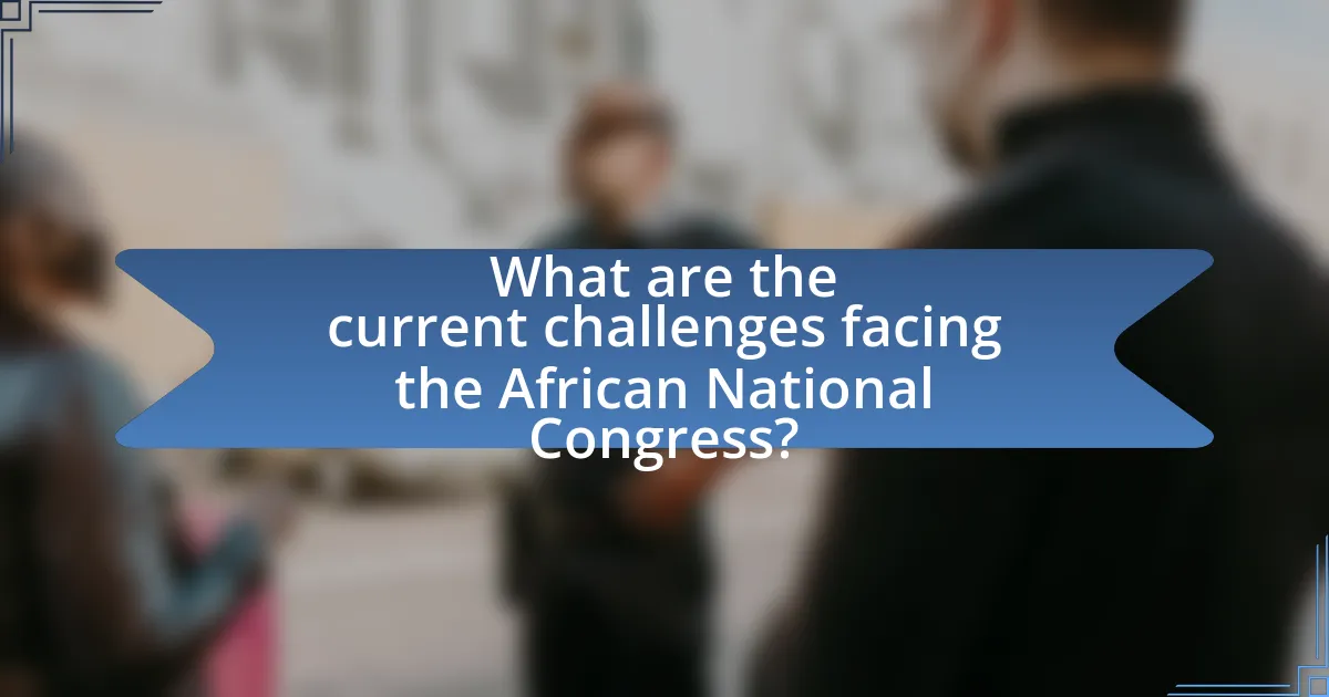 What are the current challenges facing the African National Congress?