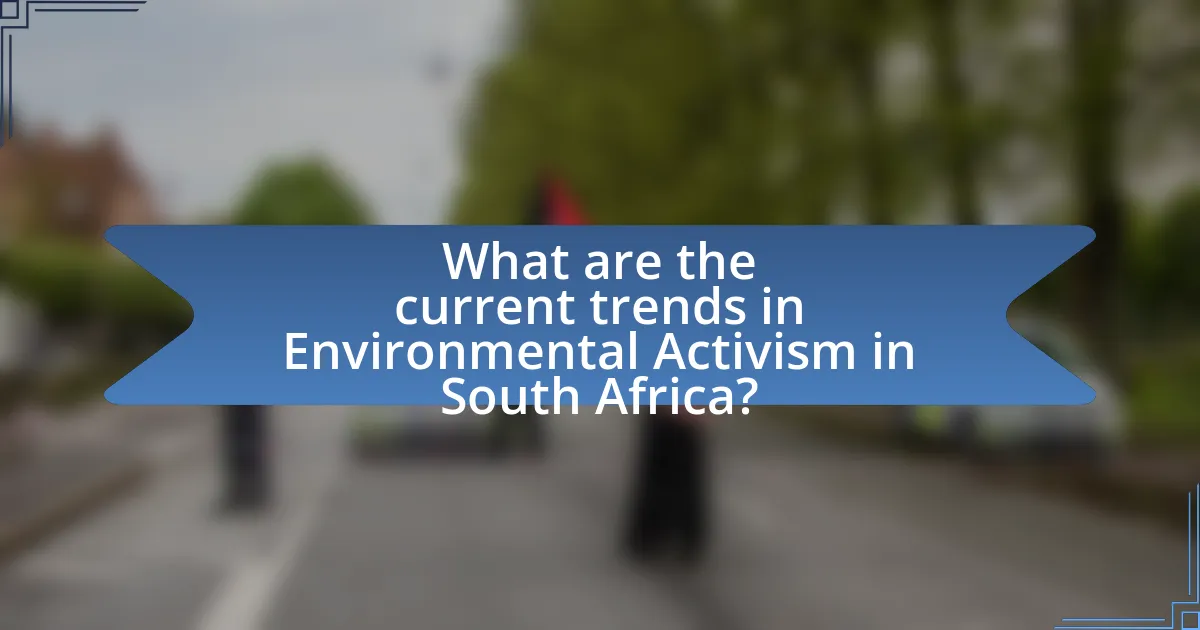 What are the current trends in Environmental Activism in South Africa?
