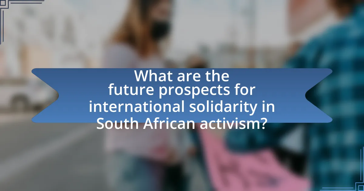 What are the future prospects for international solidarity in South African activism?