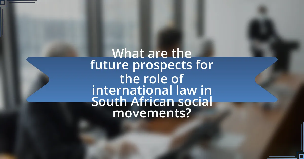 What are the future prospects for the role of international law in South African social movements?
