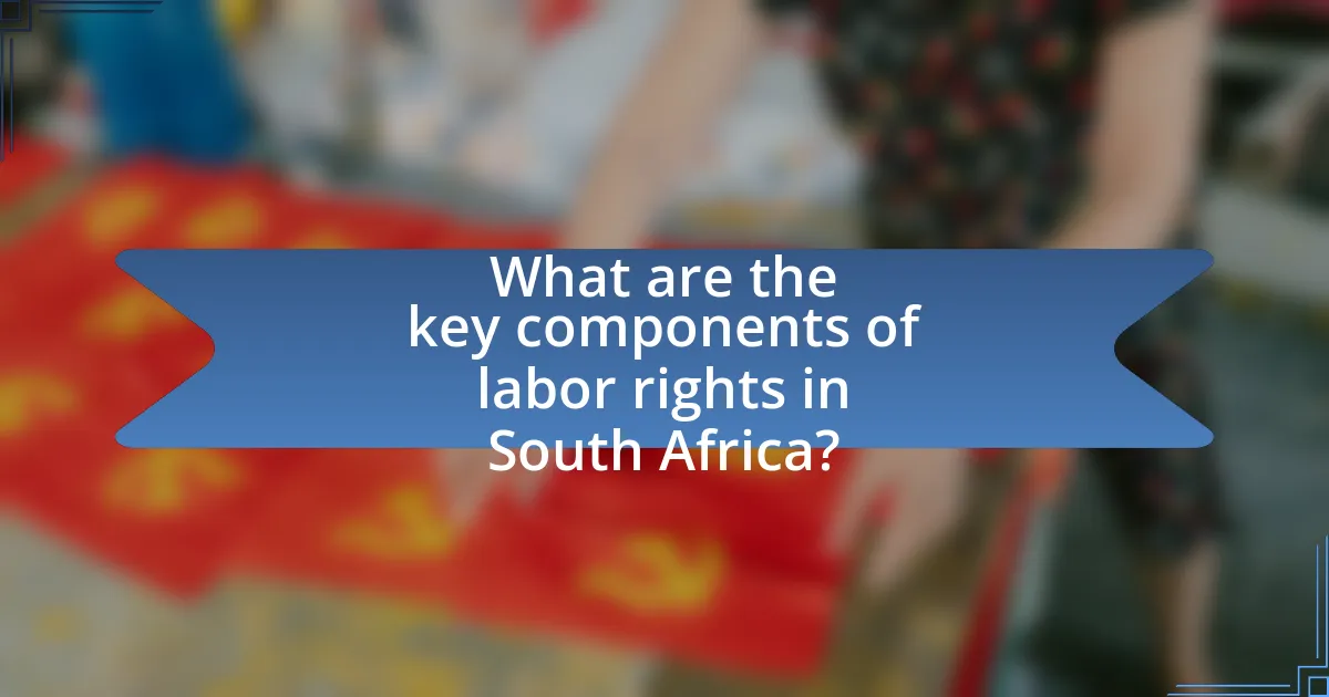 What are the key components of labor rights in South Africa?