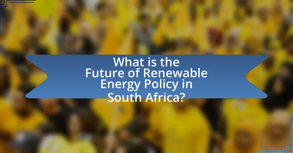 What is the Future of Renewable Energy Policy in South Africa?
