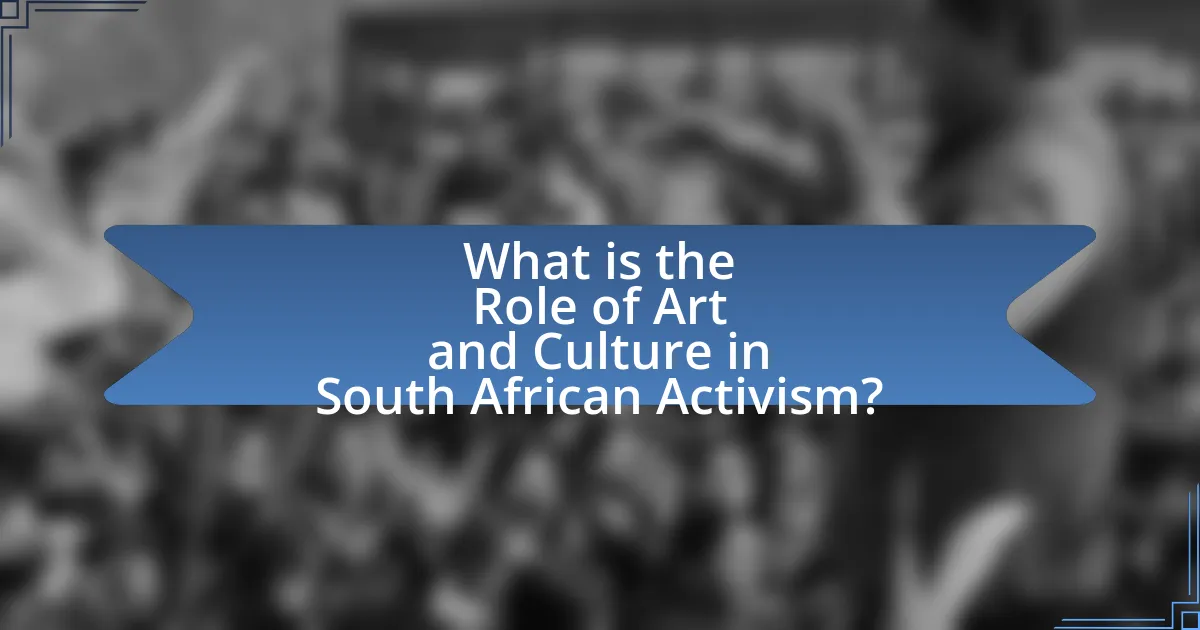 What is the Role of Art and Culture in South African Activism?