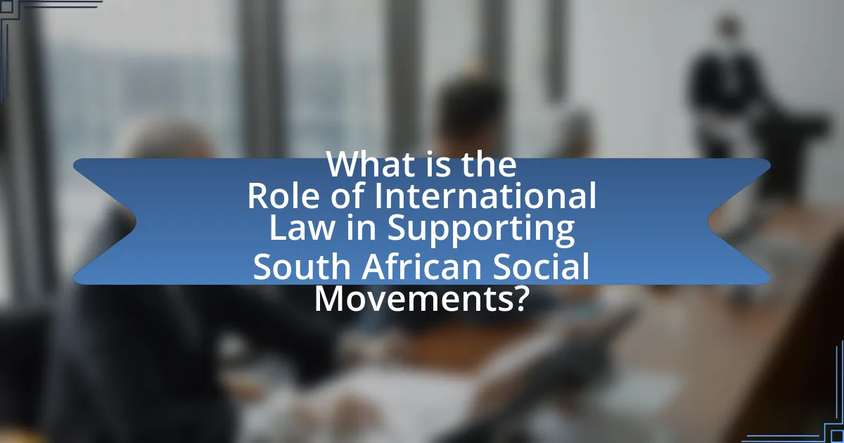 What is the Role of International Law in Supporting South African Social Movements?