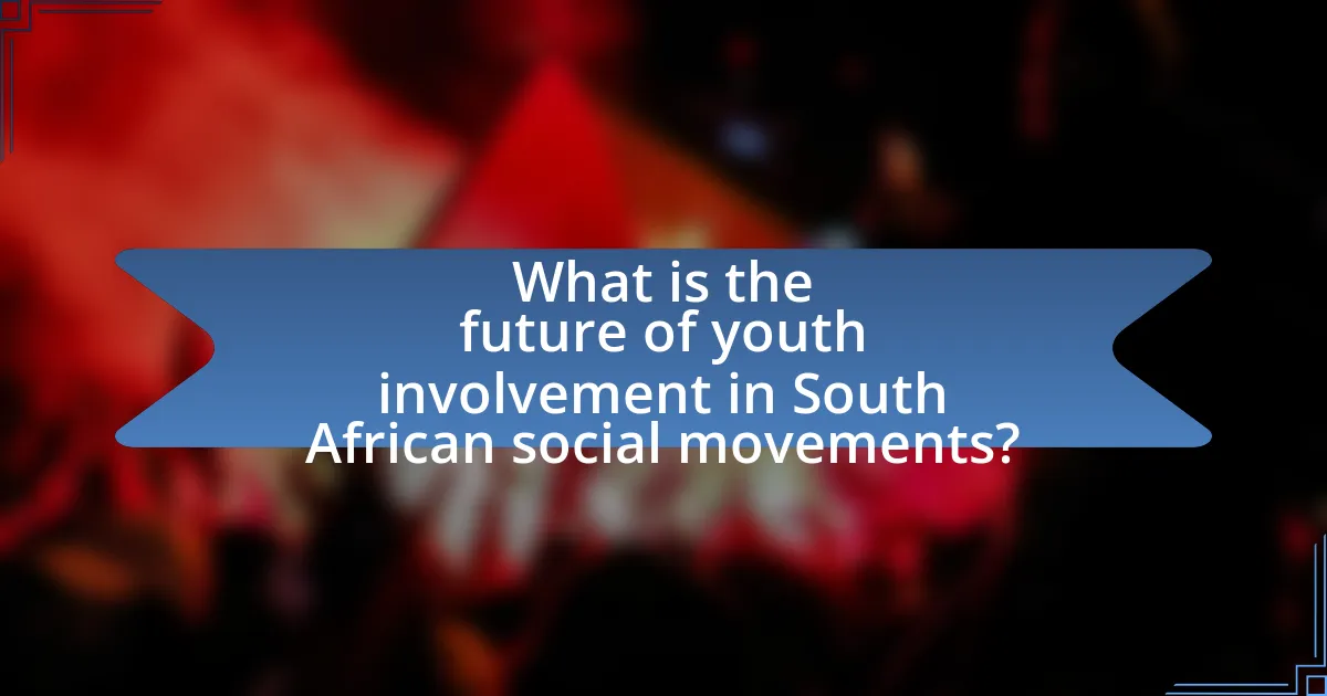 What is the future of youth involvement in South African social movements?