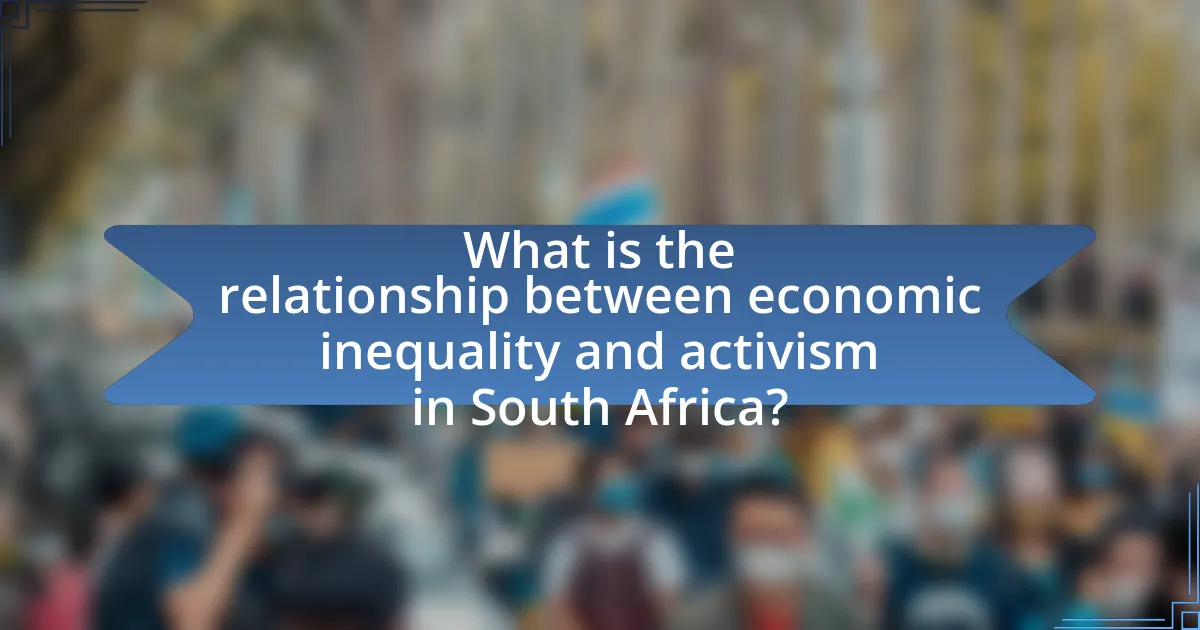 What is the relationship between economic inequality and activism in South Africa?
