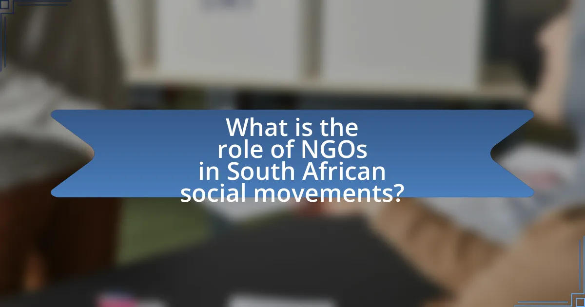 What is the role of NGOs in South African social movements?