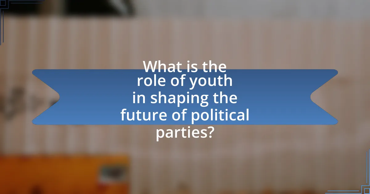 What is the role of youth in shaping the future of political parties?